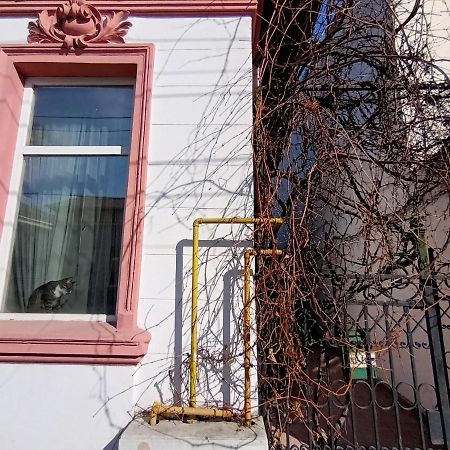 Casa Liveni Lägenhet Bukarest Exteriör bild
