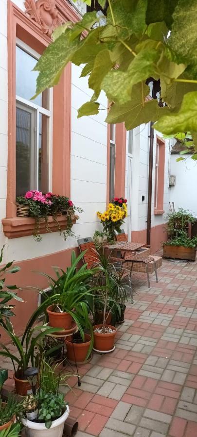 Casa Liveni Lägenhet Bukarest Exteriör bild